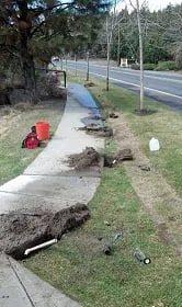 Affordable garden landscaping in Bend, OR by Sage Scapes