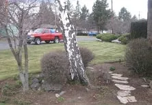 Local landscape installation in Bend, OR by Sage Scapes