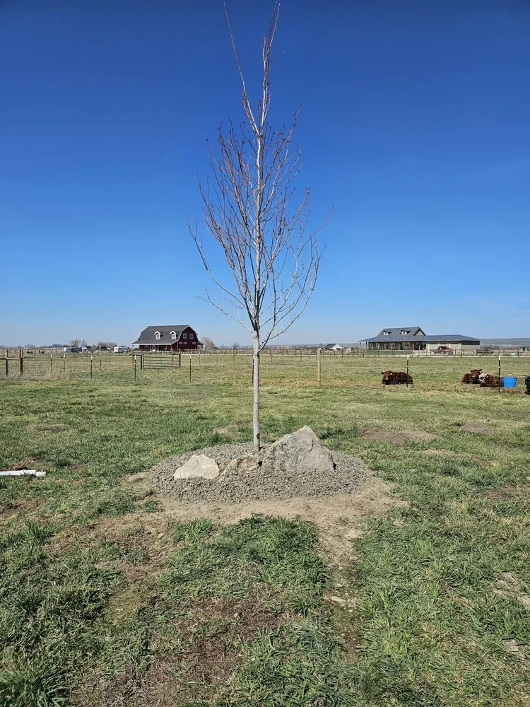 Affordable landscape design for homes across Nampa, ID - Sage Valley Landscaping