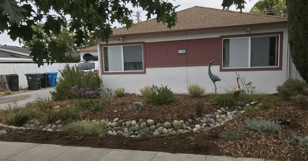 Reliable lawn care service for year-round maintenance across Redwood City, CA - Sagebrush Garden Design