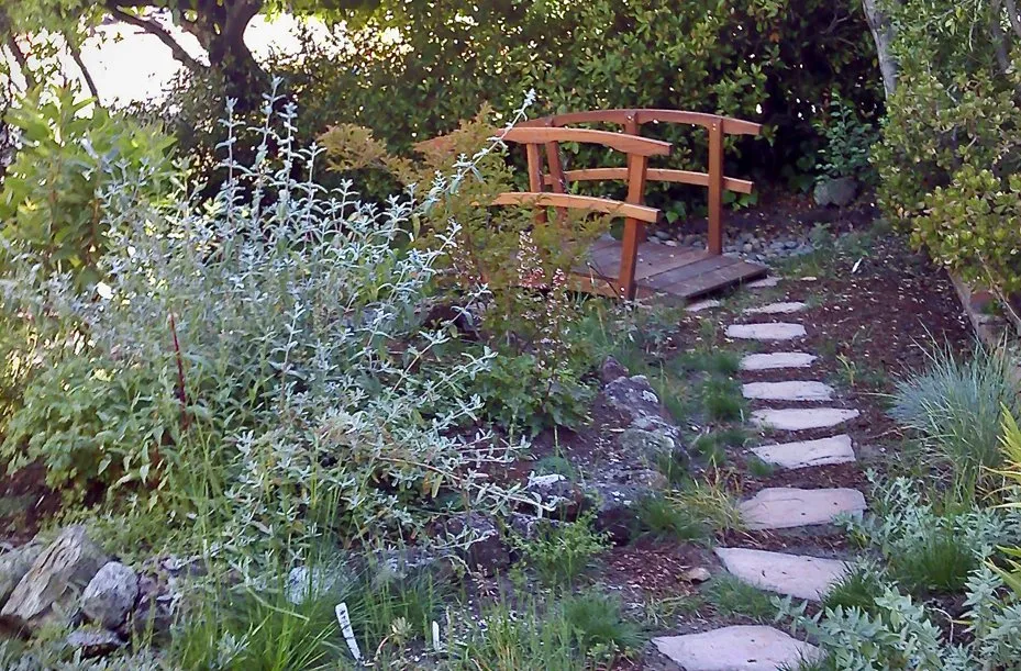 Reliable landscaping services for outdoor upgrades in Redwood City, CA by Sagebrush Garden Design