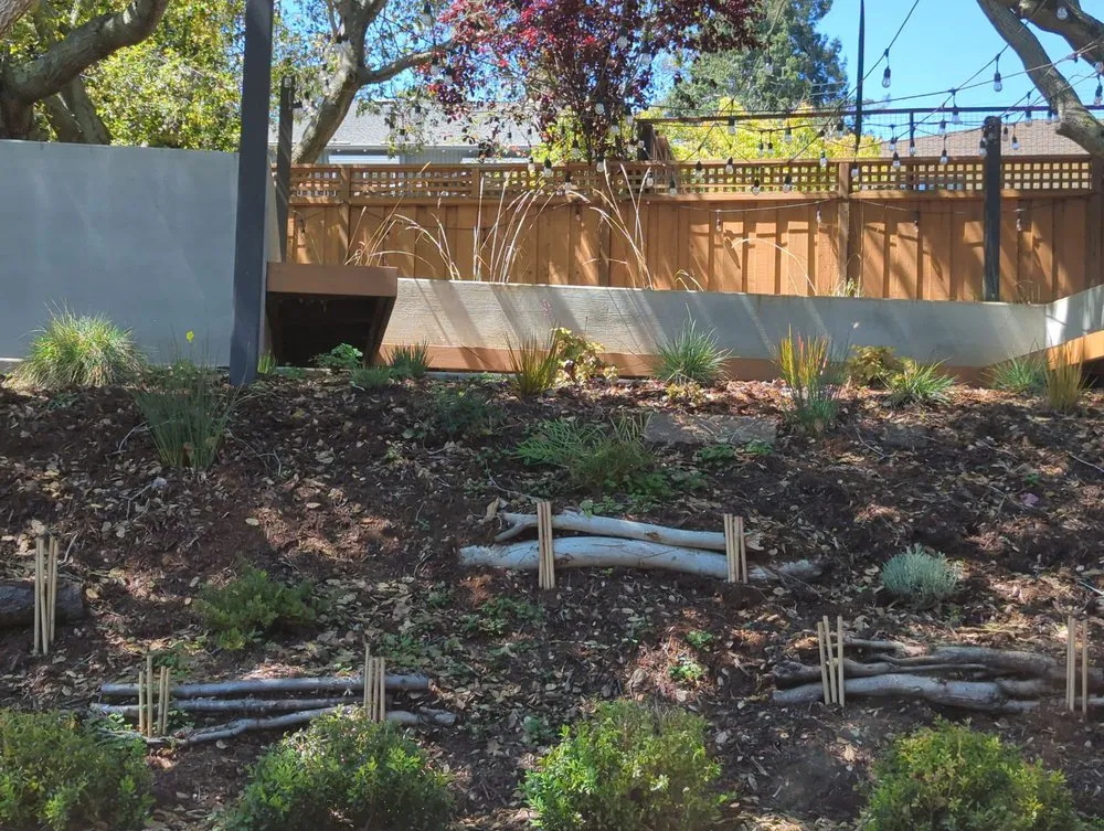 Expert lawn care service experts serving Redwood City, CA - Sagebrush Garden Design