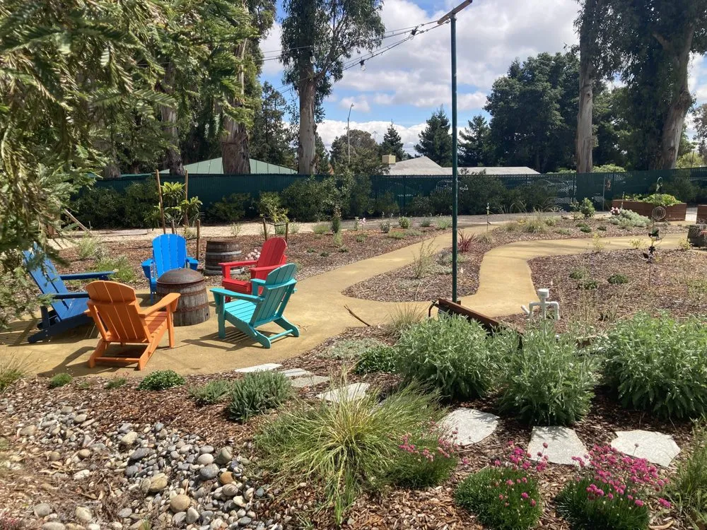 Trusted lawn care service with custom design in Redwood City, CA by Sagebrush Garden Design