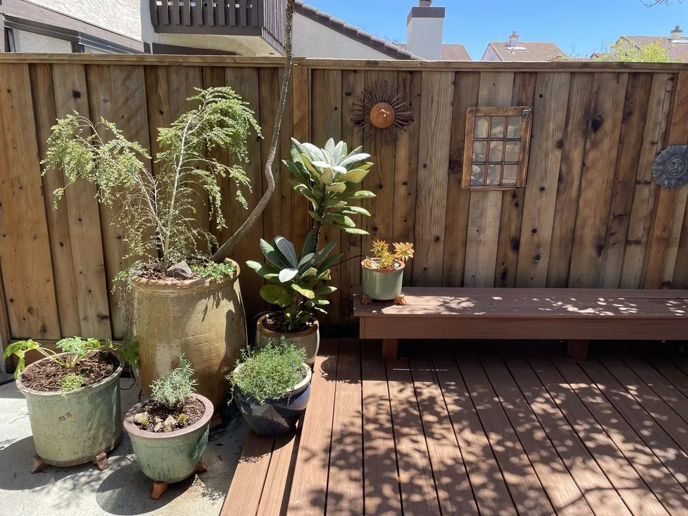 Affordable outdoor landscaping for beautiful yards in Redwood City, CA by Sagebrush Garden Design