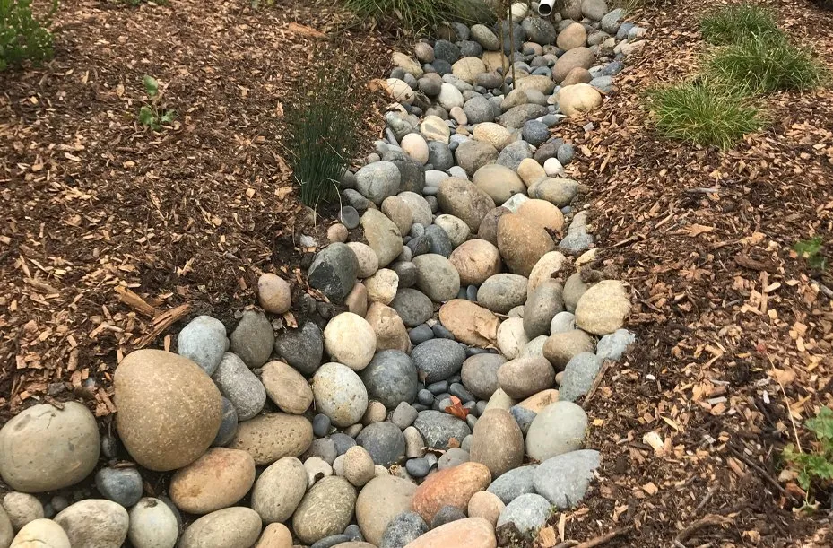 Expert lawn mowing service in Redwood City, CA - Sagebrush Garden Design