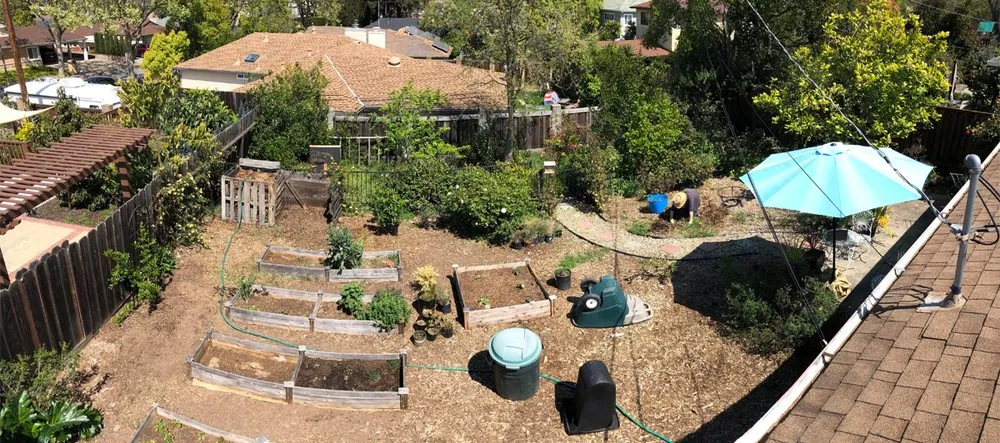Trusted yard maintenance for year-round maintenance across Redwood City, CA - Sagebrush Garden Design