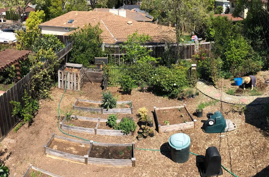 Custom lawn care service experts serving Redwood City, CA - Sagebrush Garden Design