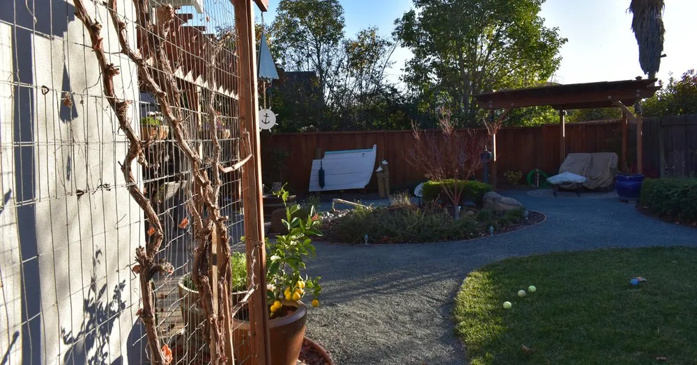Affordable residential landscaping with custom design across Redwood City, CA - Sagebrush Garden Design