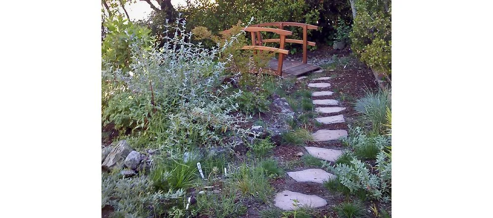 Expert landscape installation experts serving Redwood City, CA - Sagebrush Garden Design