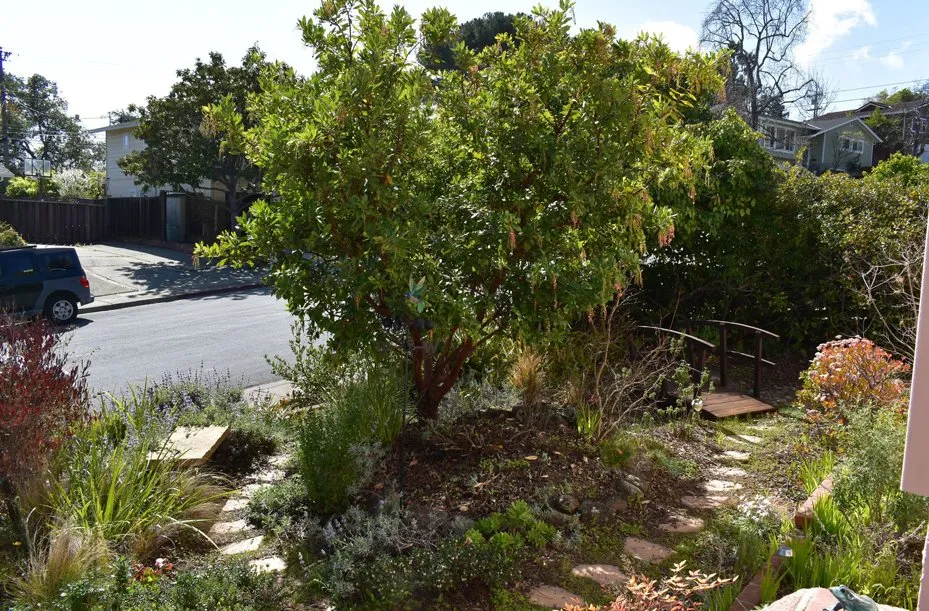 Trusted garden landscaping in Redwood City, CA by Sagebrush Garden Design