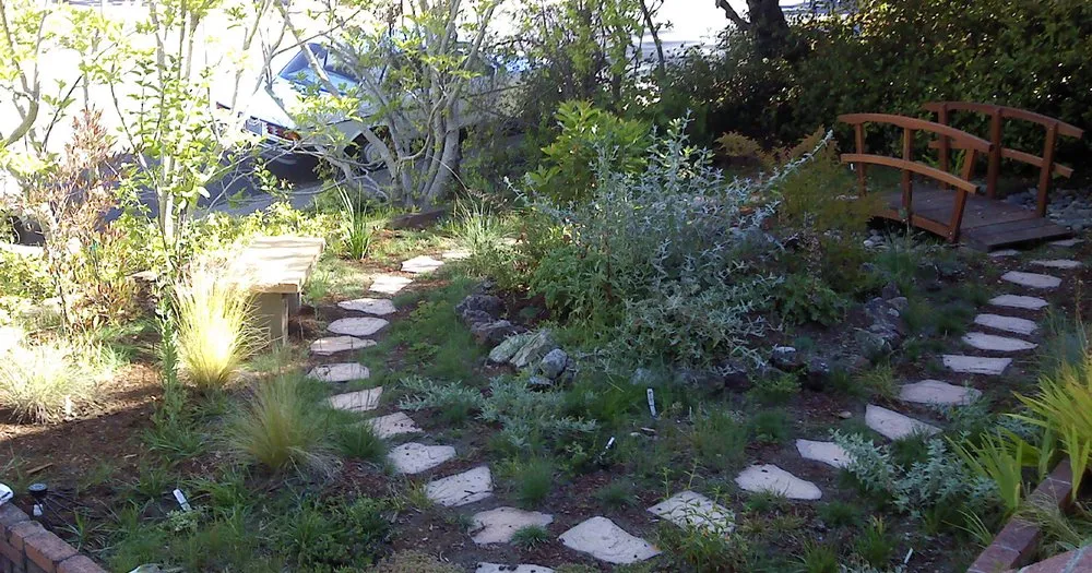 Top-rated yard cleanup service in Redwood City, CA by Sagebrush Garden Design