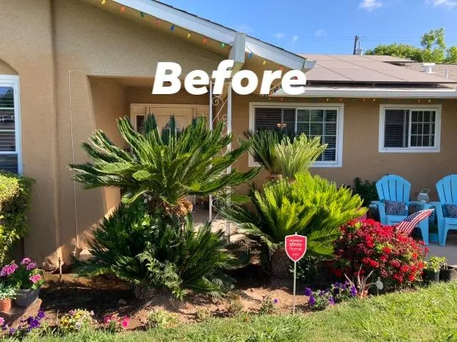 Trusted residential landscaping in Fresno, CA - Sago Max