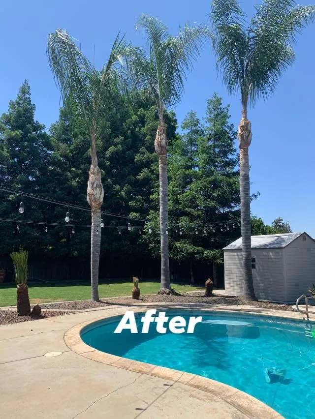 Trusted landscape design near you in Fresno, CA by Sago Max