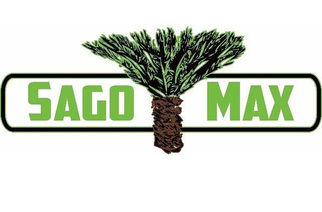 Affordable landscape installation near you in Fresno, CA by Sago Max