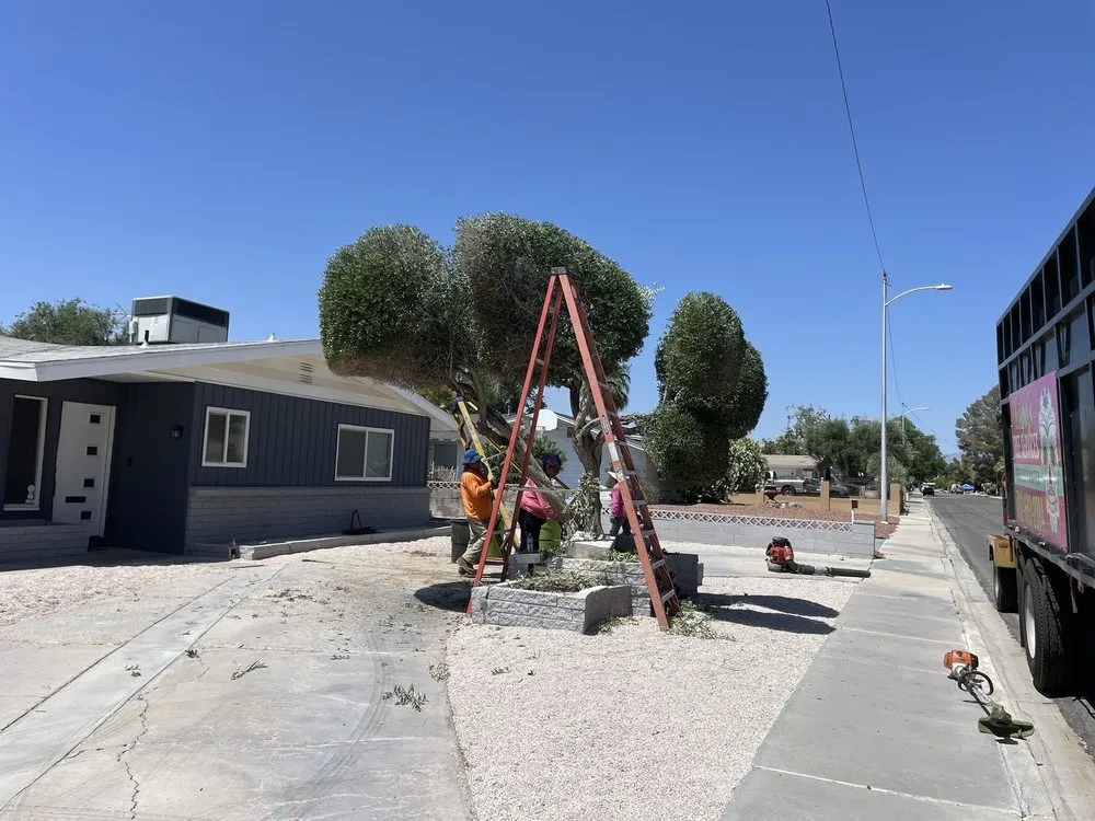 Local garden landscaping with custom design in North Las Vegas, NV by Sagos Landscape Tree Service