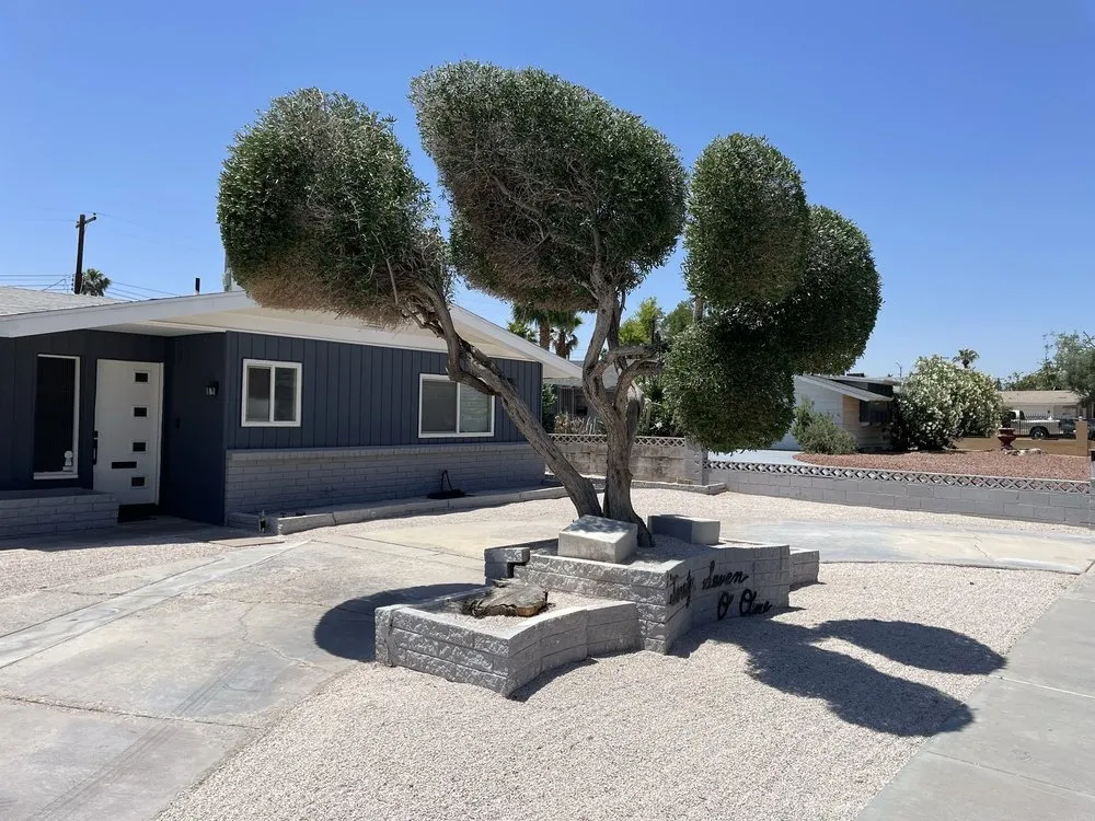 Professional lawn mowing service near you in North Las Vegas, NV by Sagos Landscape Tree Service