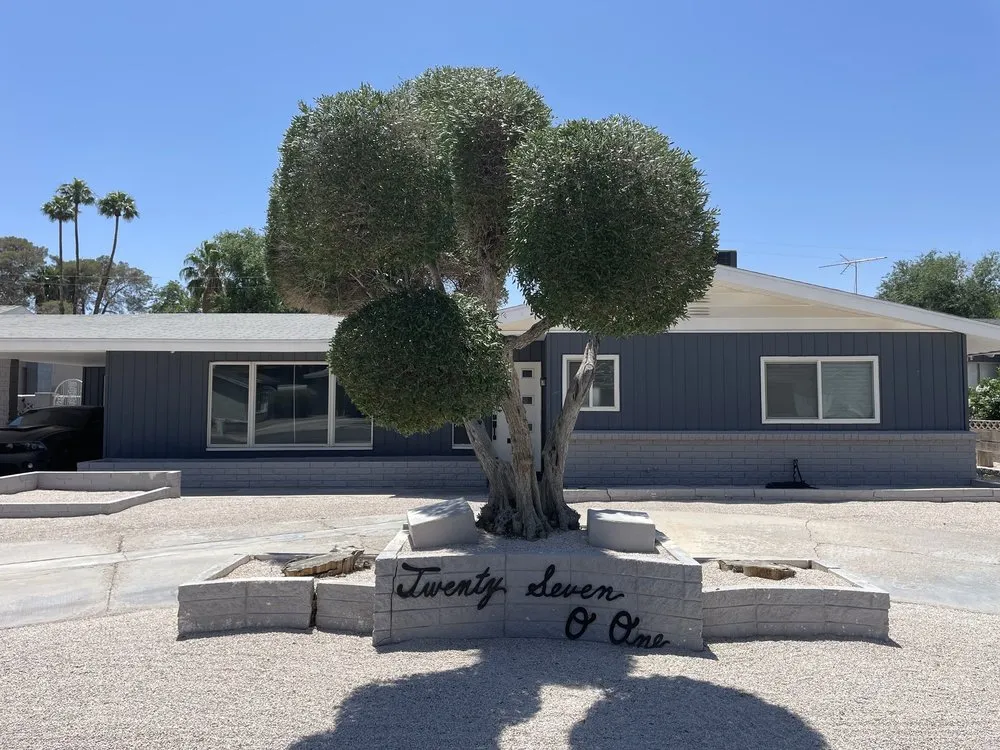 Expert yard maintenance in North Las Vegas, NV - Sagos Landscape Tree Service