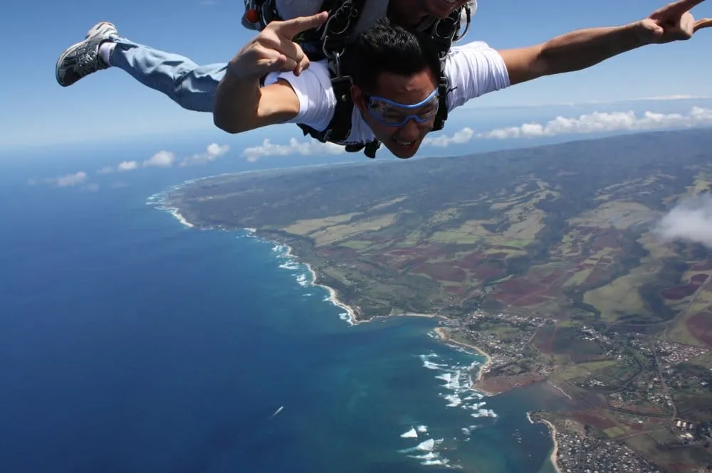 Top-rated yard maintenance experts serving North Las Vegas, NV - Sagos Landscape Tree Service