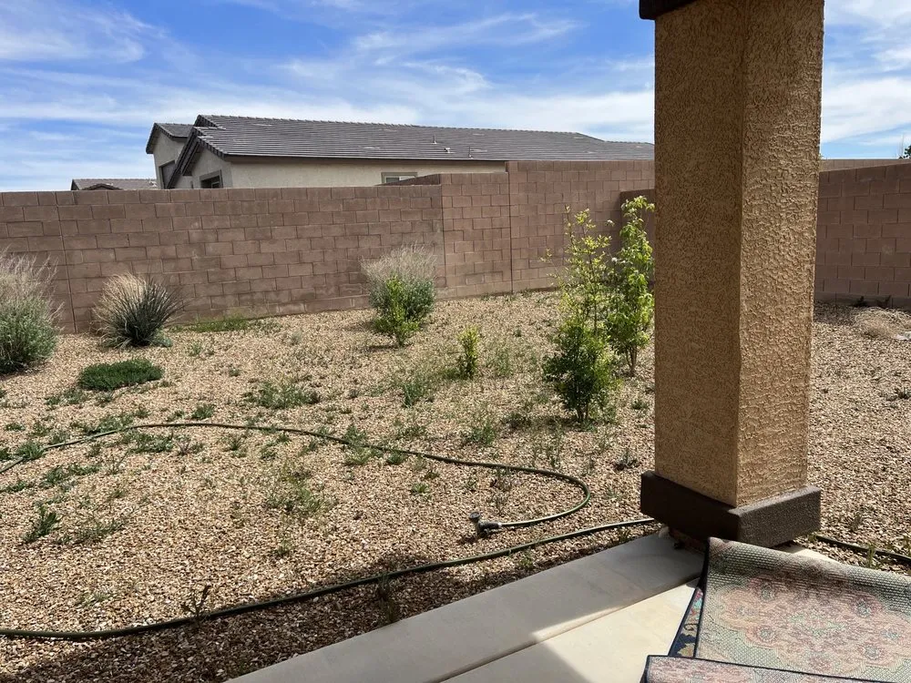 Reliable garden landscaping experts serving North Las Vegas, NV - Sagos Landscape Tree Service