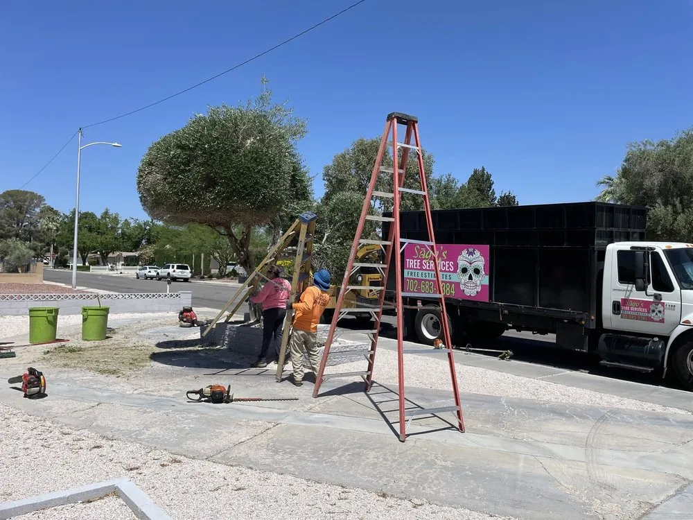 Top-rated garden landscaping with custom design in North Las Vegas, NV by Sagos Landscape Tree Service