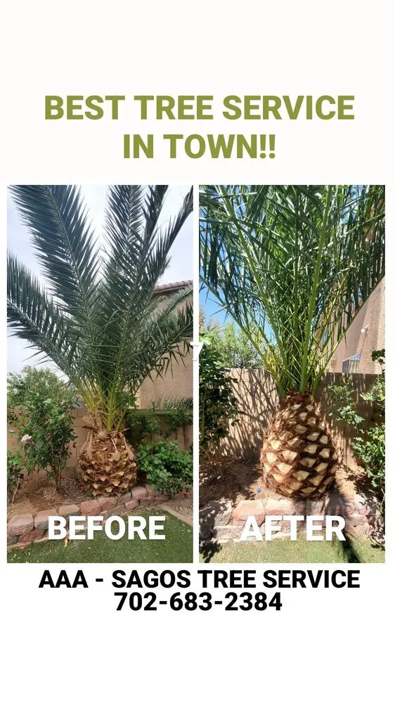 Expert landscape design with custom design in North Las Vegas, NV by Sagos Landscape Tree Service