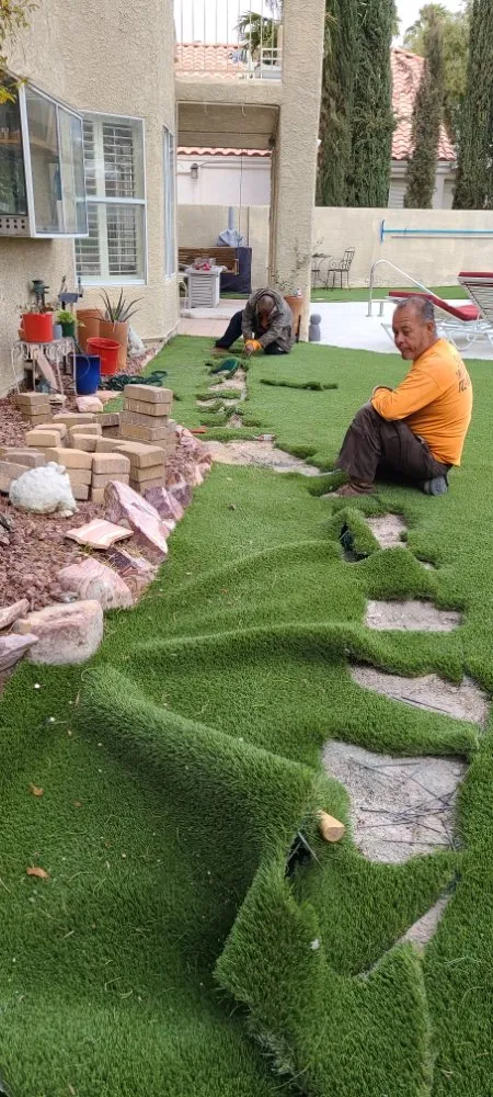 Local yard cleanup service in North Las Vegas, NV - Sagos Landscape Tree Service