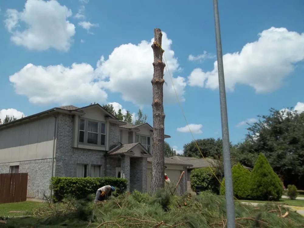 Professional outdoor landscaping near you in Spring, TX by Sago's Landscaping