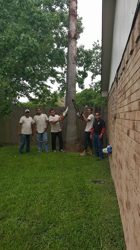 Reliable landscaping services near you across Spring, TX - Sago's Landscaping