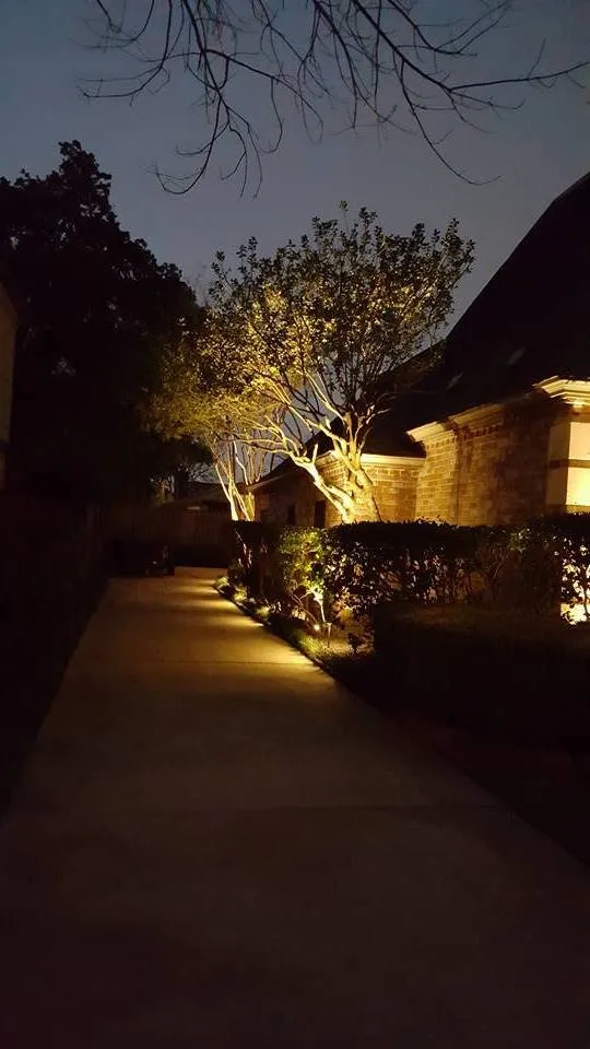 Affordable landscape design in Spring, TX - Sago's Landscaping