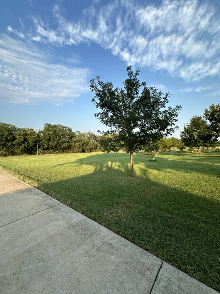 Reliable landscape installation for year-round maintenance in Alvarado, TX by Saguaro Cactus Lawn Care