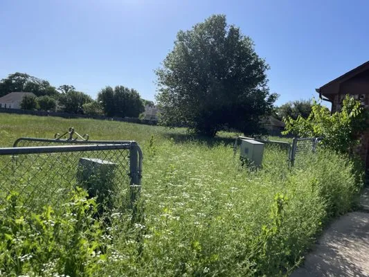 Saguaro Cactus Lawn Care