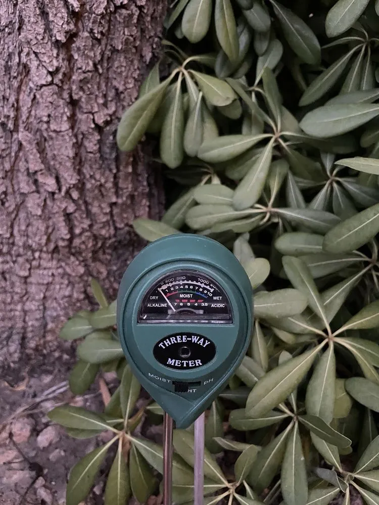 Professional residential landscaping for beautiful yards in Las Vegas, NV by Saguaro Landscapes