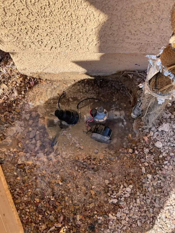 Top-rated landscape installation with custom design in Las Vegas, NV by Saguaro Landscapes