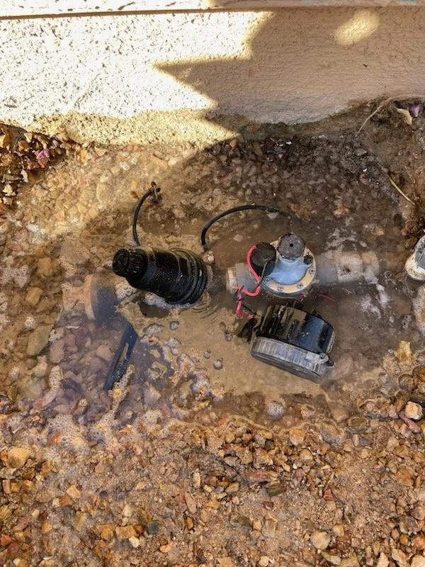 Professional lawn mowing service in Las Vegas, NV by Saguaro Landscapes