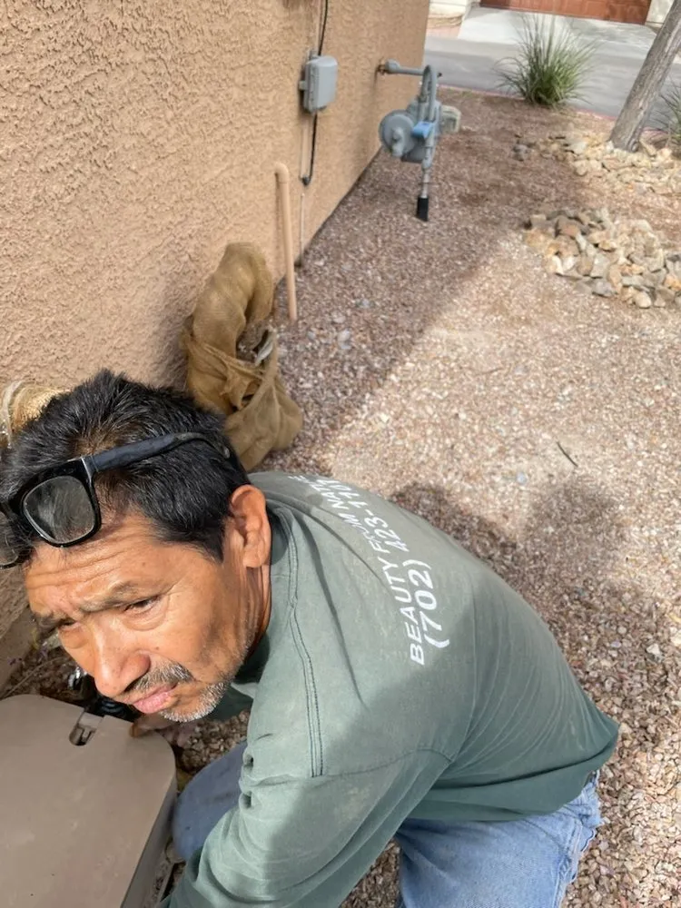 Expert lawn mowing service in Las Vegas, NV - Saguaro Landscapes