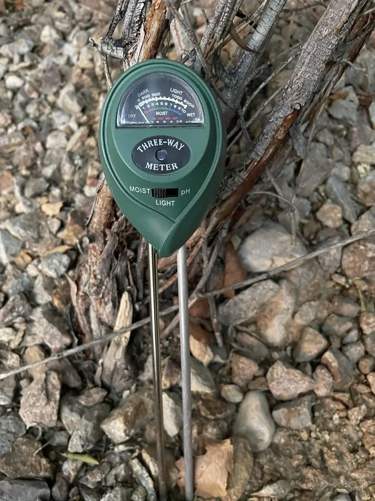 Affordable residential landscaping experts serving Las Vegas, NV - Saguaro Landscapes