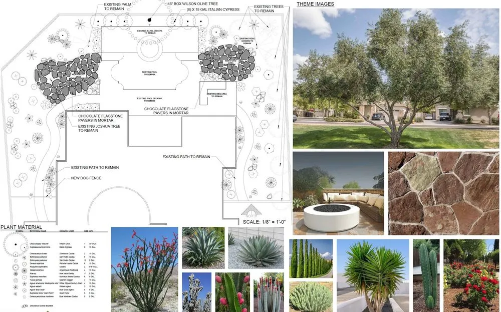 Local lawn care service in Las Vegas, NV - Saguaro Landscapes