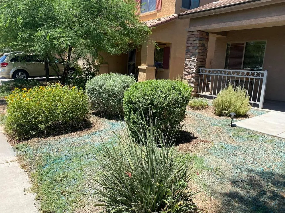 Affordable yard cleanup service in Maricopa, AZ - Saguaro Landscaping & Designs