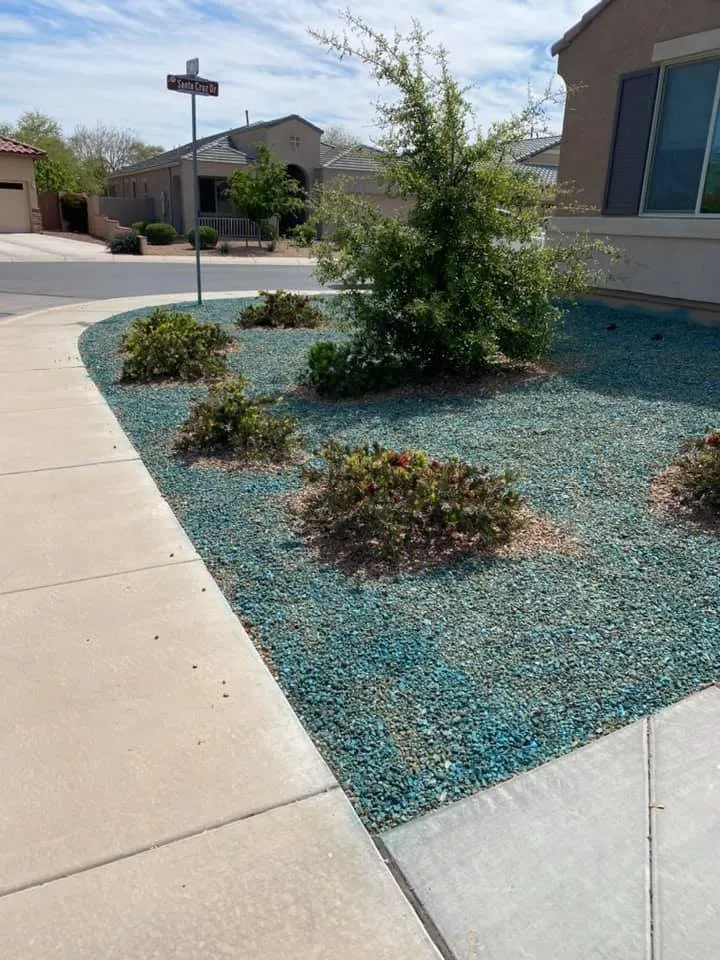 Top-rated landscaping services in Maricopa, AZ - Saguaro Landscaping & Designs