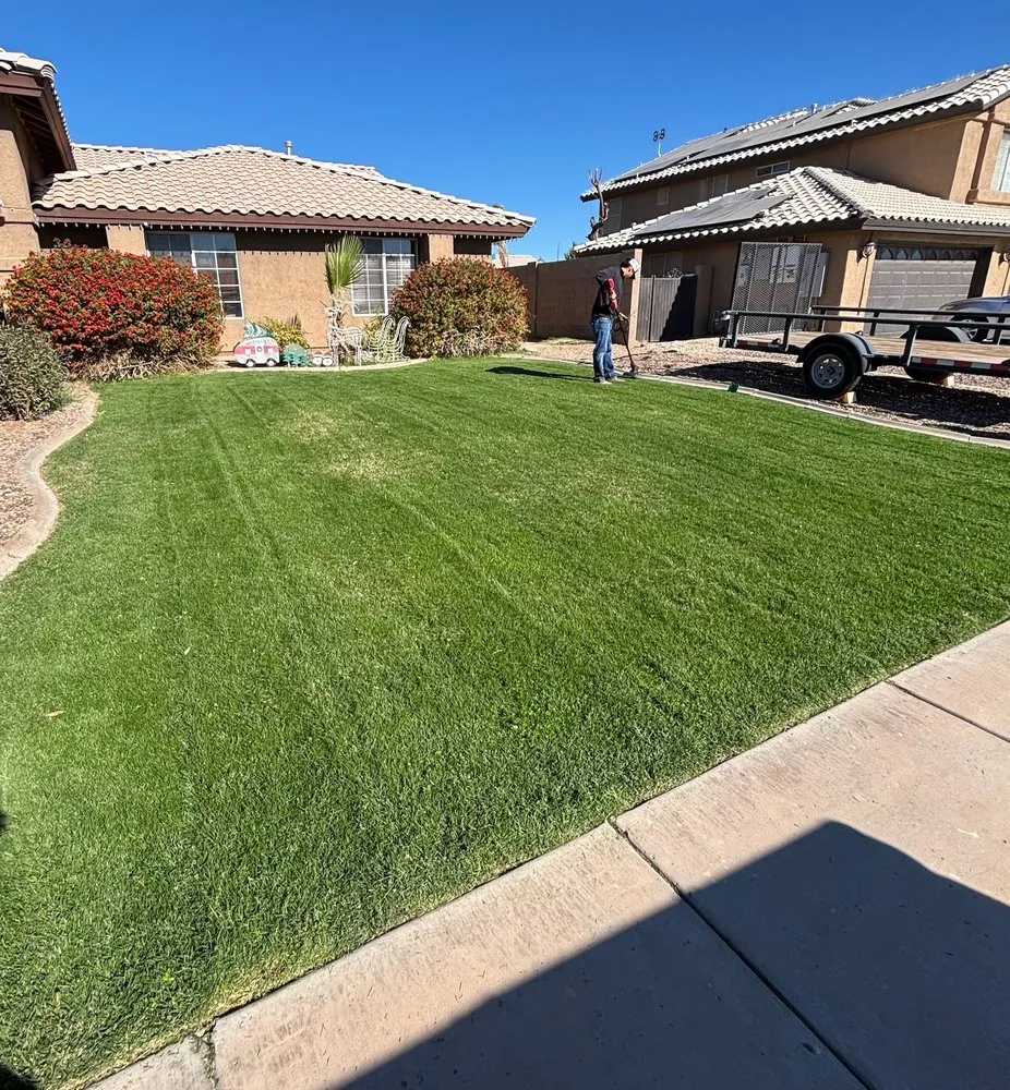 Expert outdoor landscaping for homes in Yuma, AZ by Saguaro Landscaping