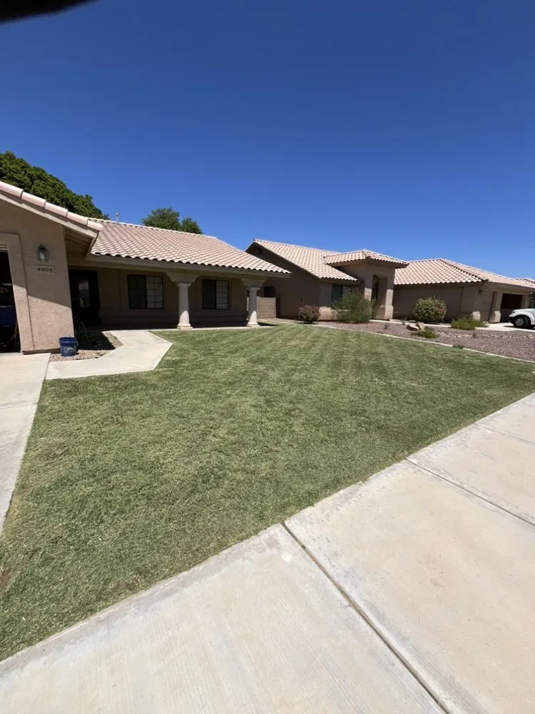 Trusted outdoor landscaping in Yuma, AZ by Saguaro Landscaping