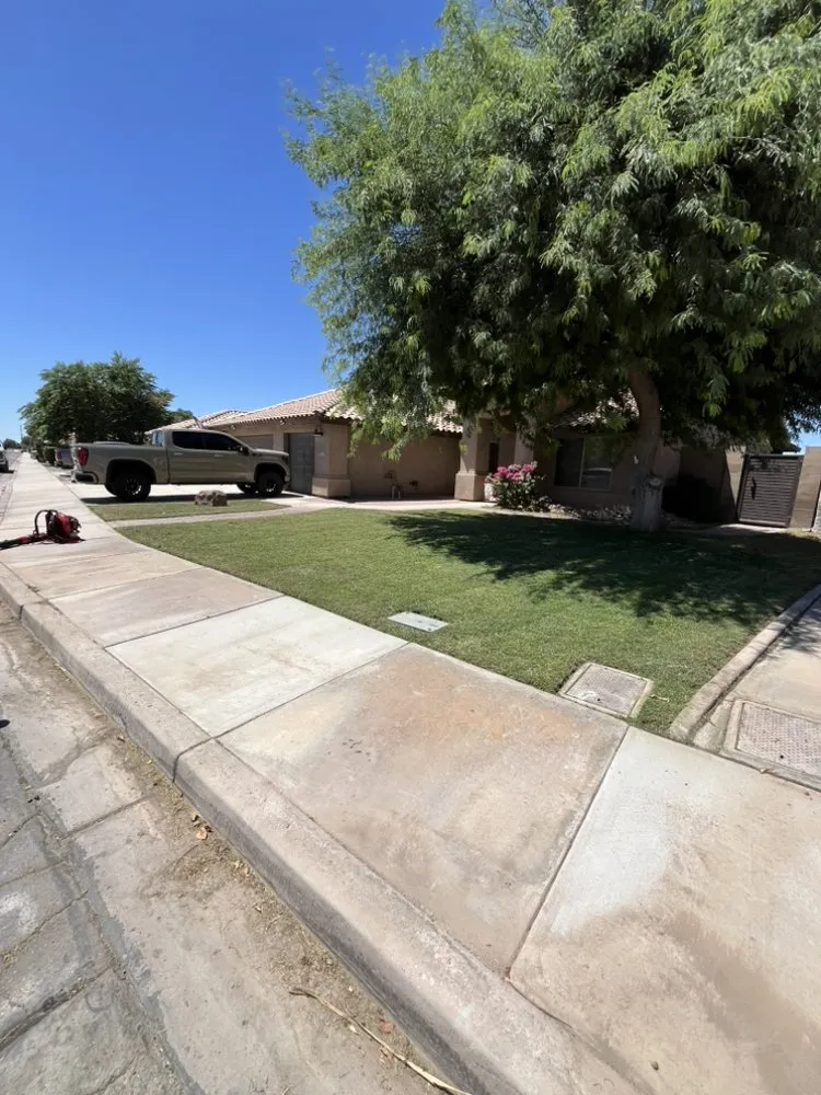 Local landscape installation for outdoor upgrades in Yuma, AZ by Saguaro Landscaping