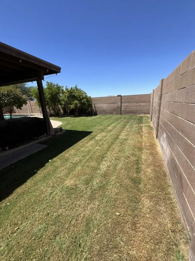 Trusted lawn care service in Yuma, AZ - Saguaro Landscaping