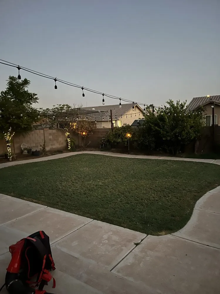 Top-rated yard cleanup service for outdoor upgrades in Yuma, AZ by Saguaro Landscaping