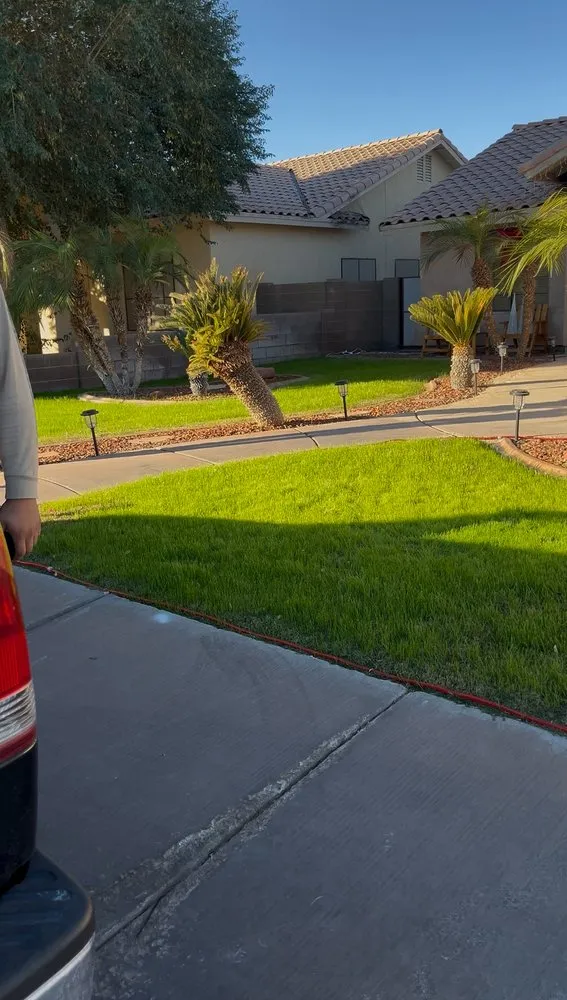 Professional lawn mowing service experts serving Yuma, AZ - Saguaro Landscaping