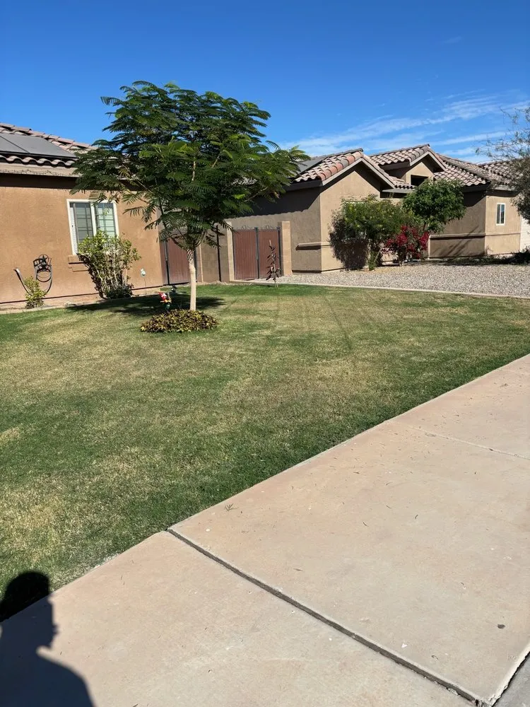 Local landscaping services in Yuma, AZ by Saguaro Landscaping