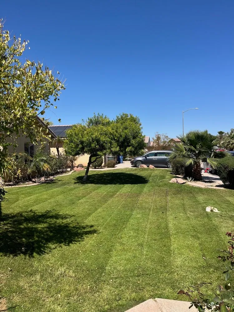 Professional lawn care service near you in Yuma, AZ by Saguaro Landscaping