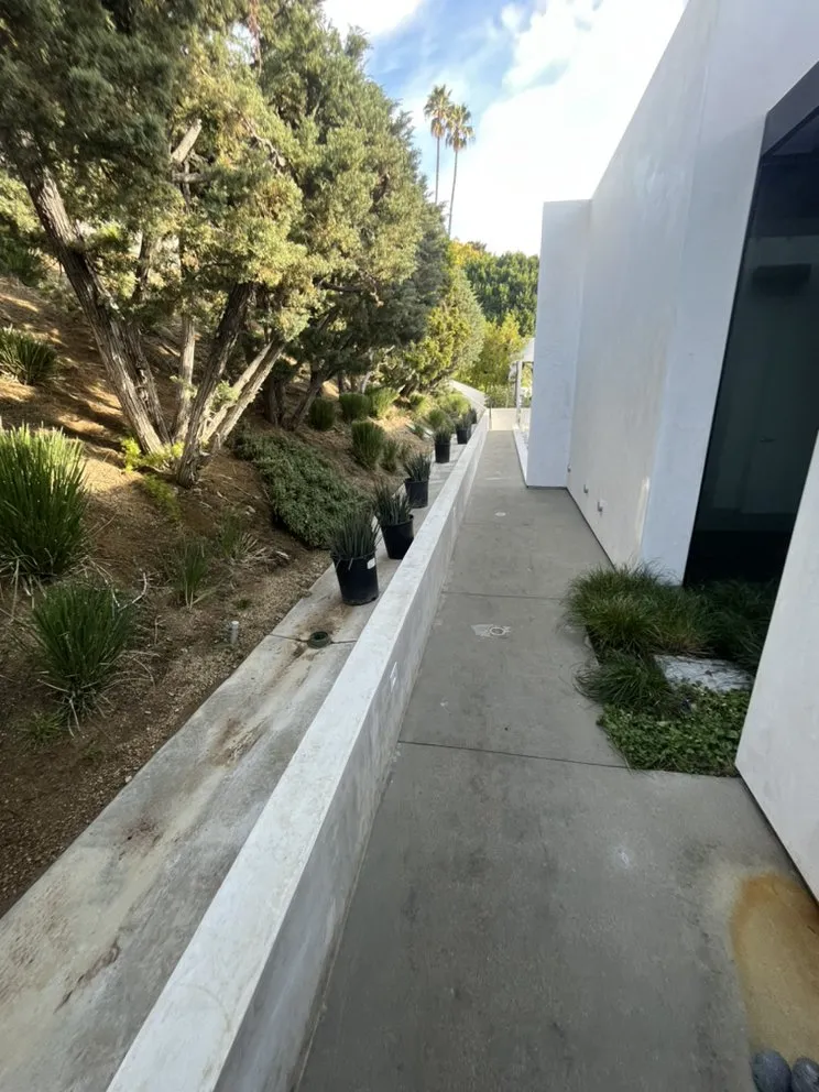 Trusted yard maintenance experts serving Long Beach, CA - Sahagun Landscaping and Tree