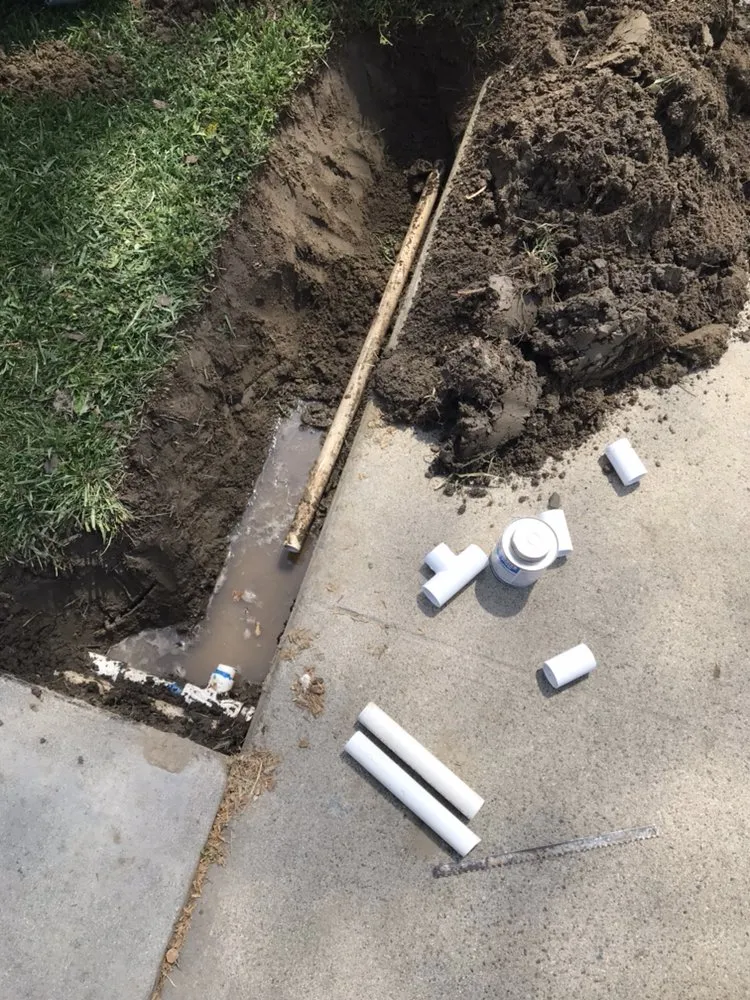 Top-rated yard maintenance in Long Beach, CA - Sahagun Landscaping and Tree