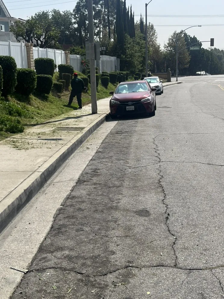 Expert lawn mowing service in Long Beach, CA by Sahagun Landscaping and Tree